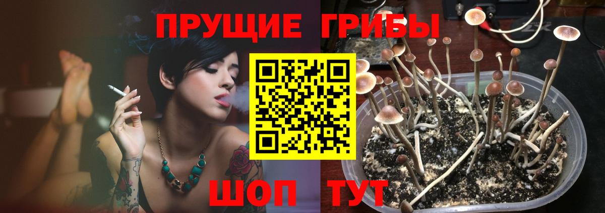 Галлюциногенные грибы MAGIC MUSHROOMS  Вход с VPN  магазин  наркотиков  Шелехов 